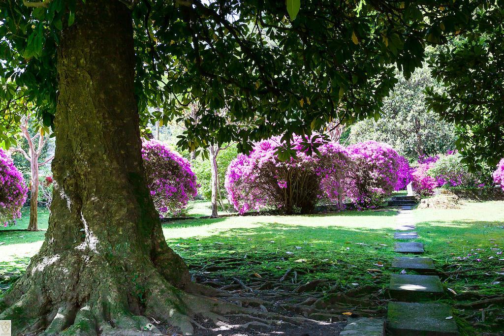 Hotel Villa E Palazzo Aminta Στρέσα Εξωτερικό φωτογραφία